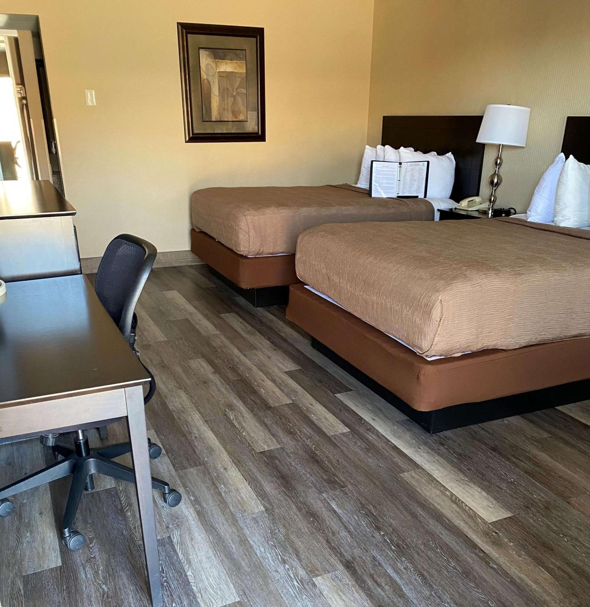 Best Western Coral Hills Σεντ Τζορτζ Εξωτερικό φωτογραφία